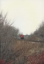 CN 4119